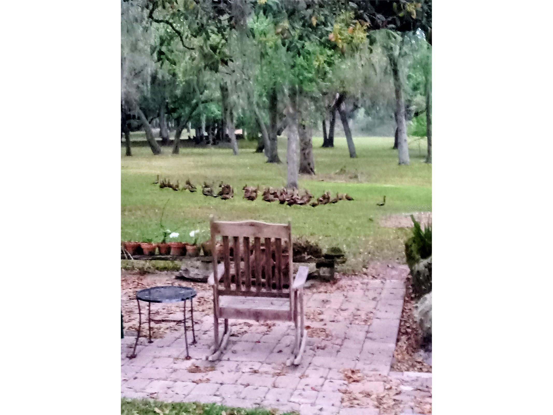 21451 Us Highway 98 Dade City FL 33523 TB8401807 image47