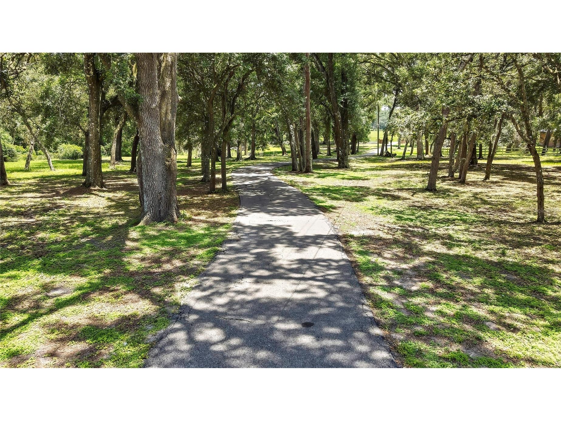 21451 Us Highway 98 Dade City FL 33523 TB8401807 image6