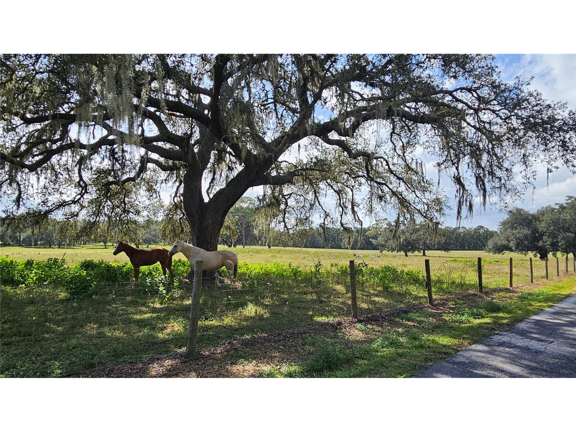 21451 Us Highway 98 Dade City FL 33523 TB8401807 image60