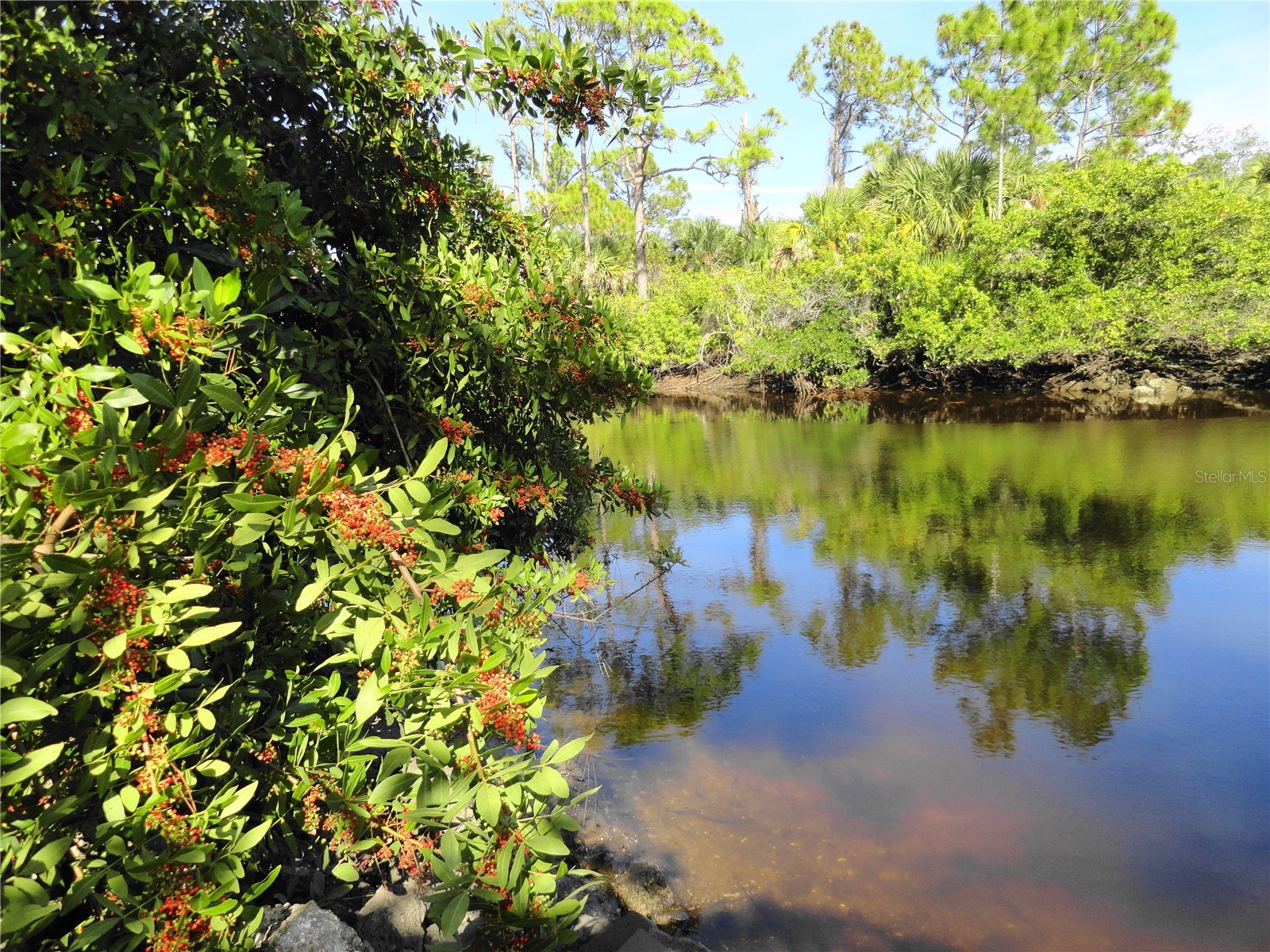 2146 Mccleod Street Port Charlotte FL 33953 - INGERSOL WATERWAY C7519675 image2