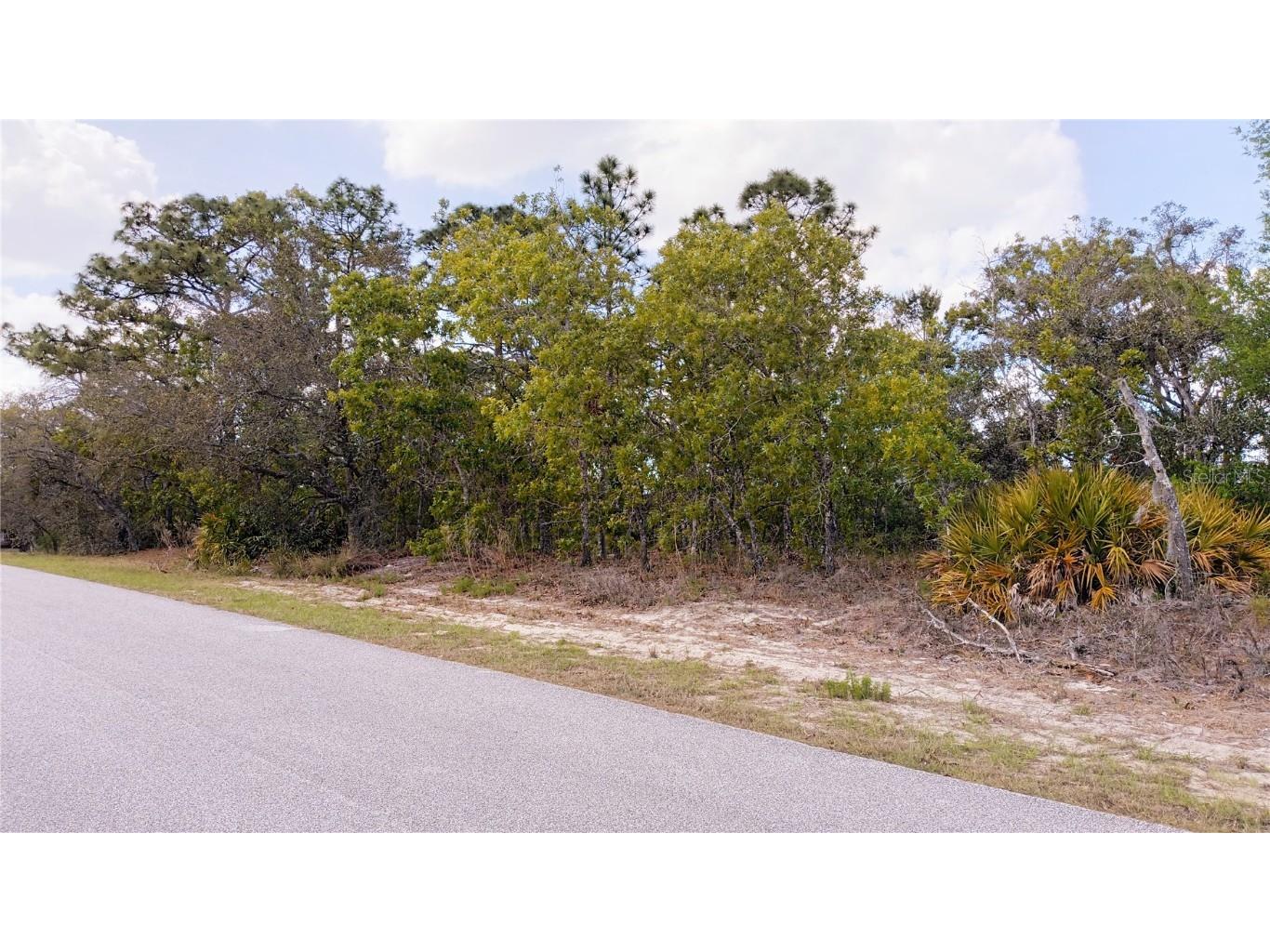 2146 Richloam Lane Spring Hill FL 34610 W7874273 image1