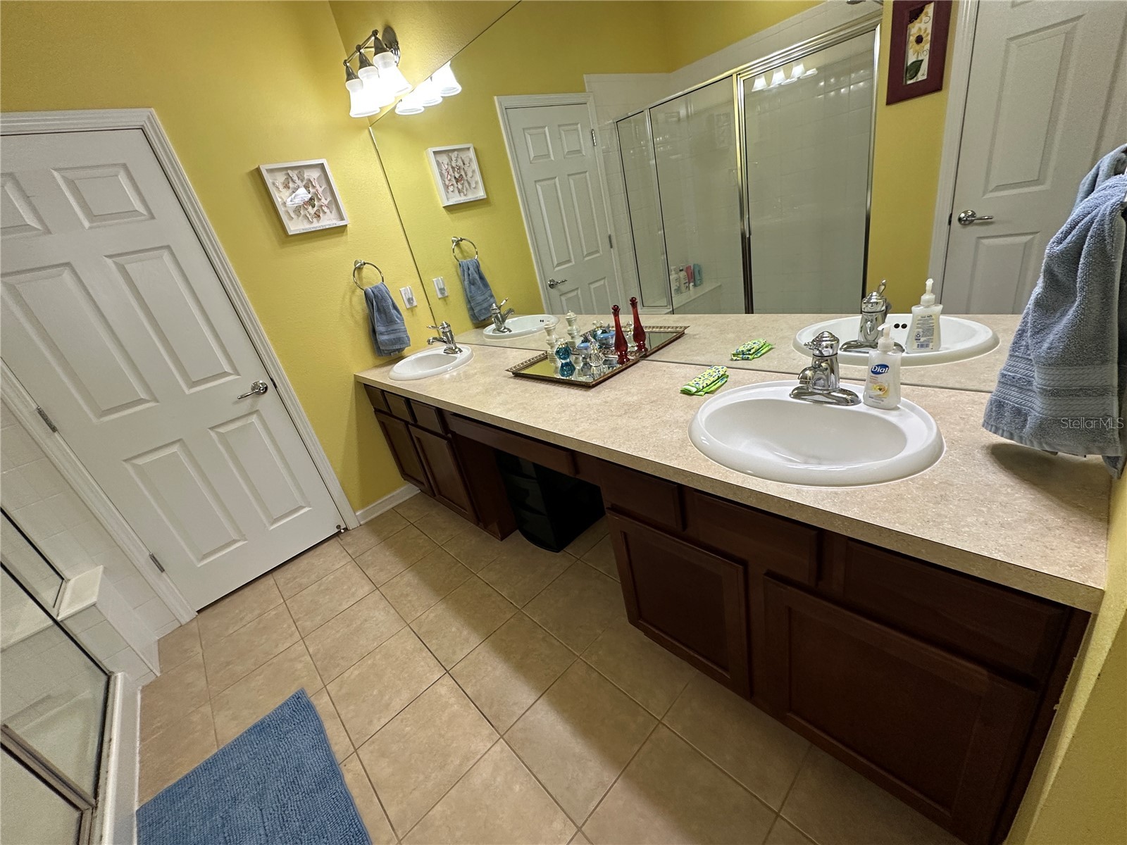 2146 River Turia Circle #N/A Riverview FL 33578 TB8526102 image20
