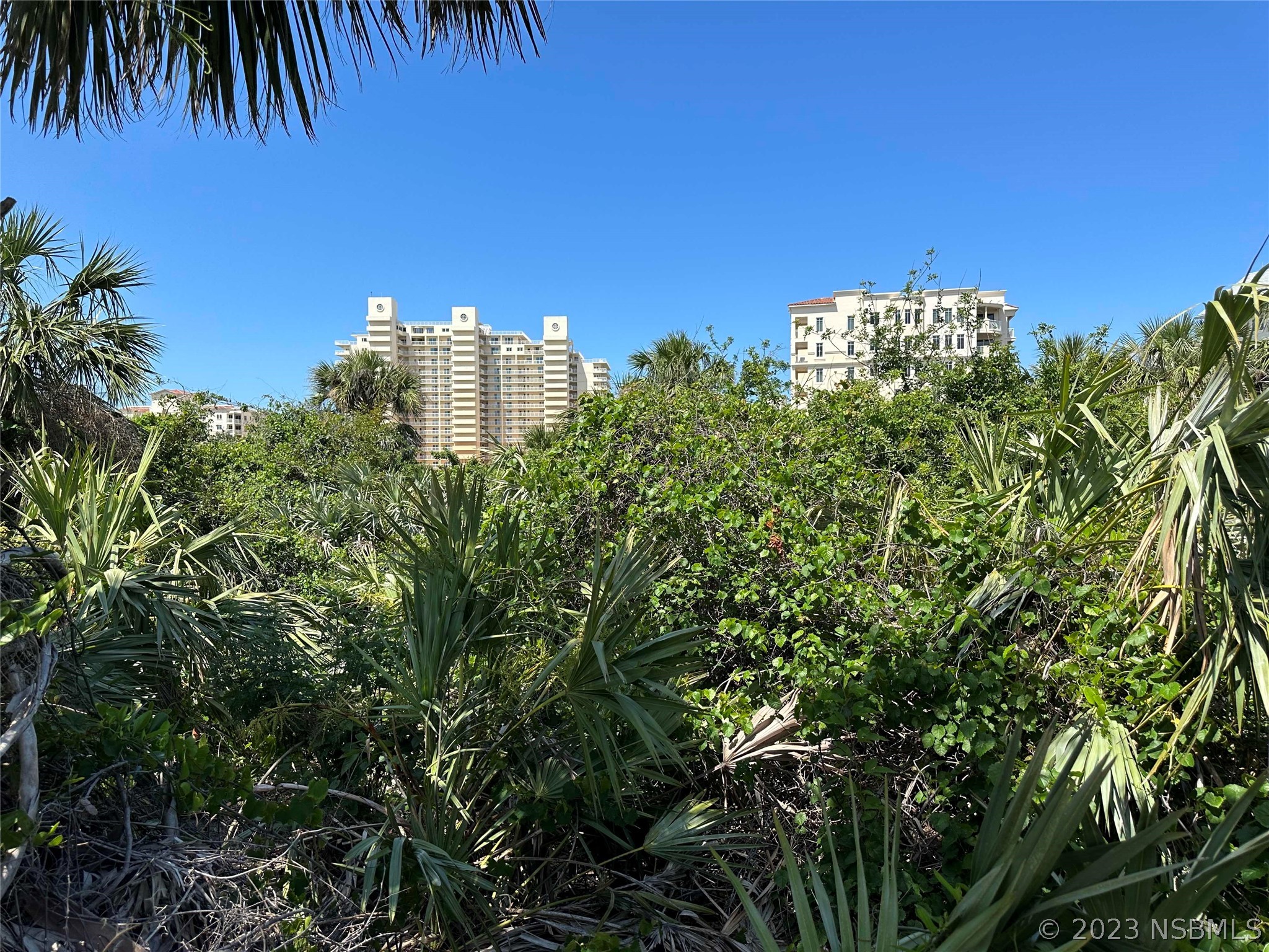 2146 Villa Way New Smyrna Beach FL 32169 NS1074744 image11