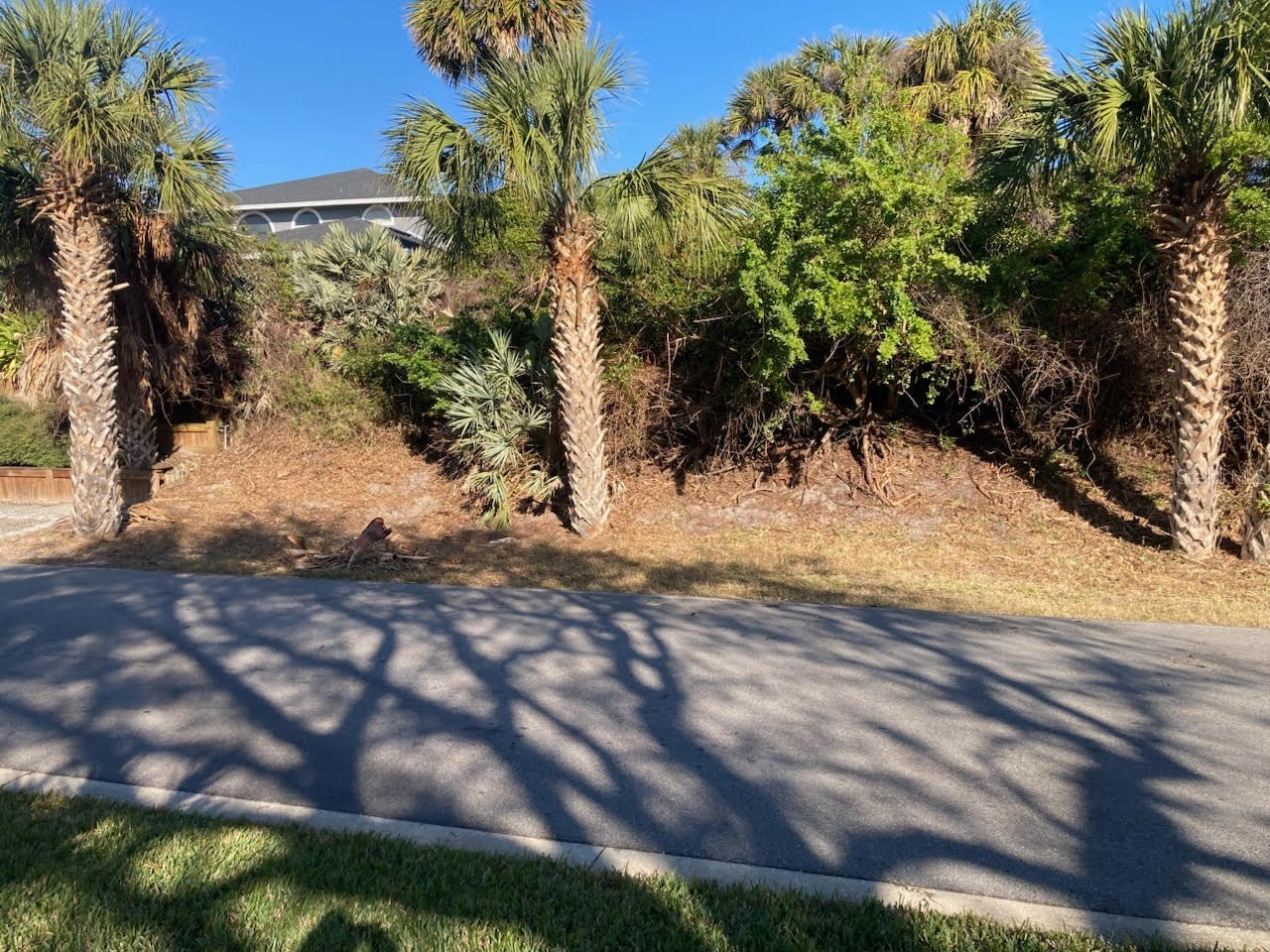 2146 Villa Way New Smyrna Beach FL 32169 NS1074744 image5