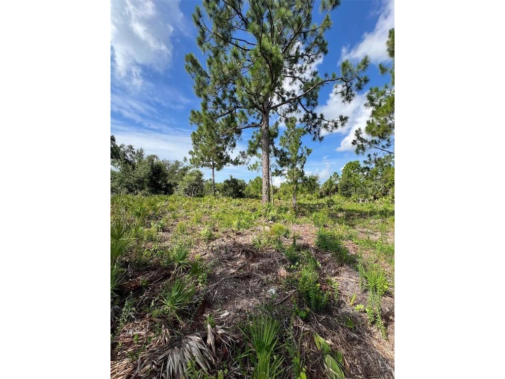 2146 Westwind Street Port Charlotte FL 33953 D6137369 image1