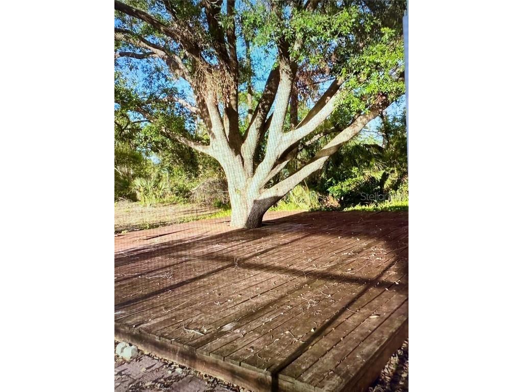 21464 Bingham Avenue Port Charlotte FL 33954 C7516163 image21