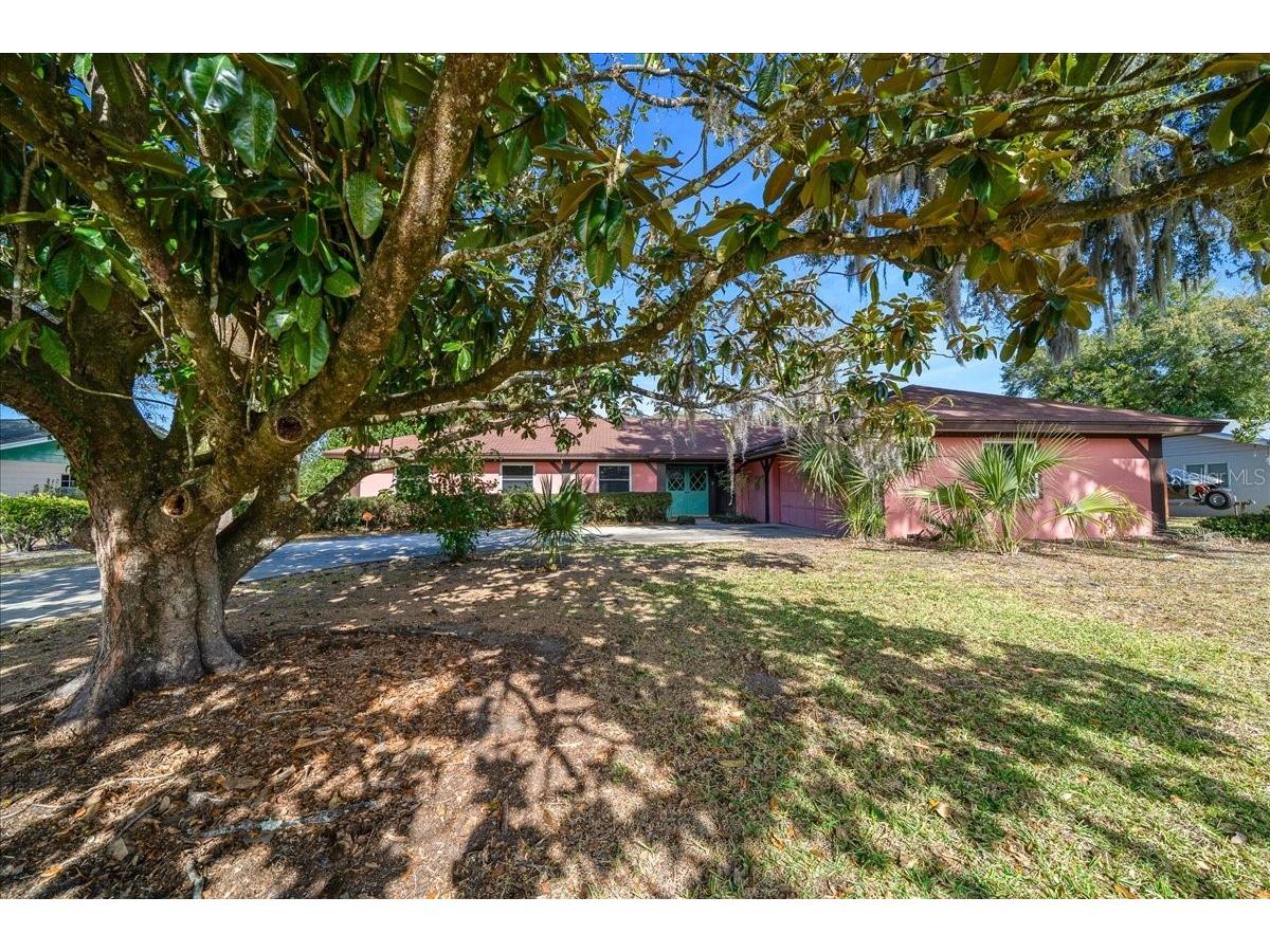 2147 NE 7th Street Ocala FL 34470 OM717398 image4