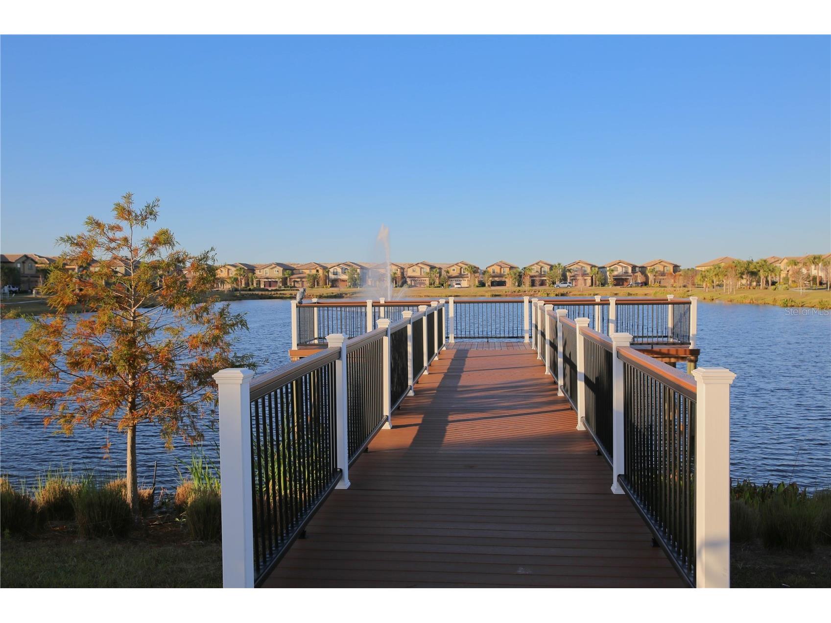 2147 Tripoli Court Kissimmee FL 34747 S5149067 image13