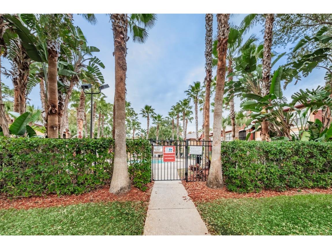 2148 Chianti Place #1310 Palm Harbor FL 34683 TB8404248 image53