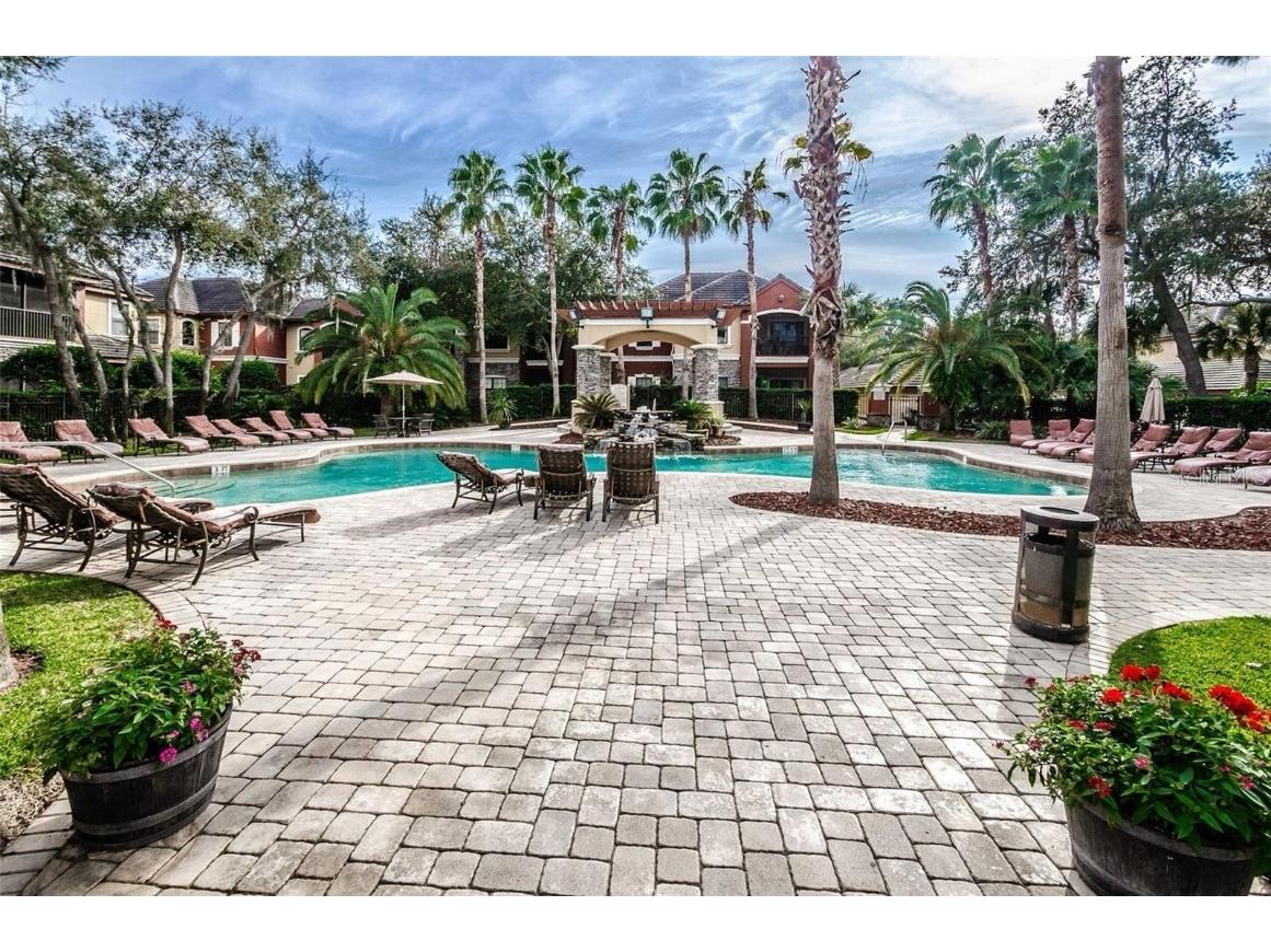 2148 Chianti Place #1310 Palm Harbor FL 34683 TB8455174 image30
