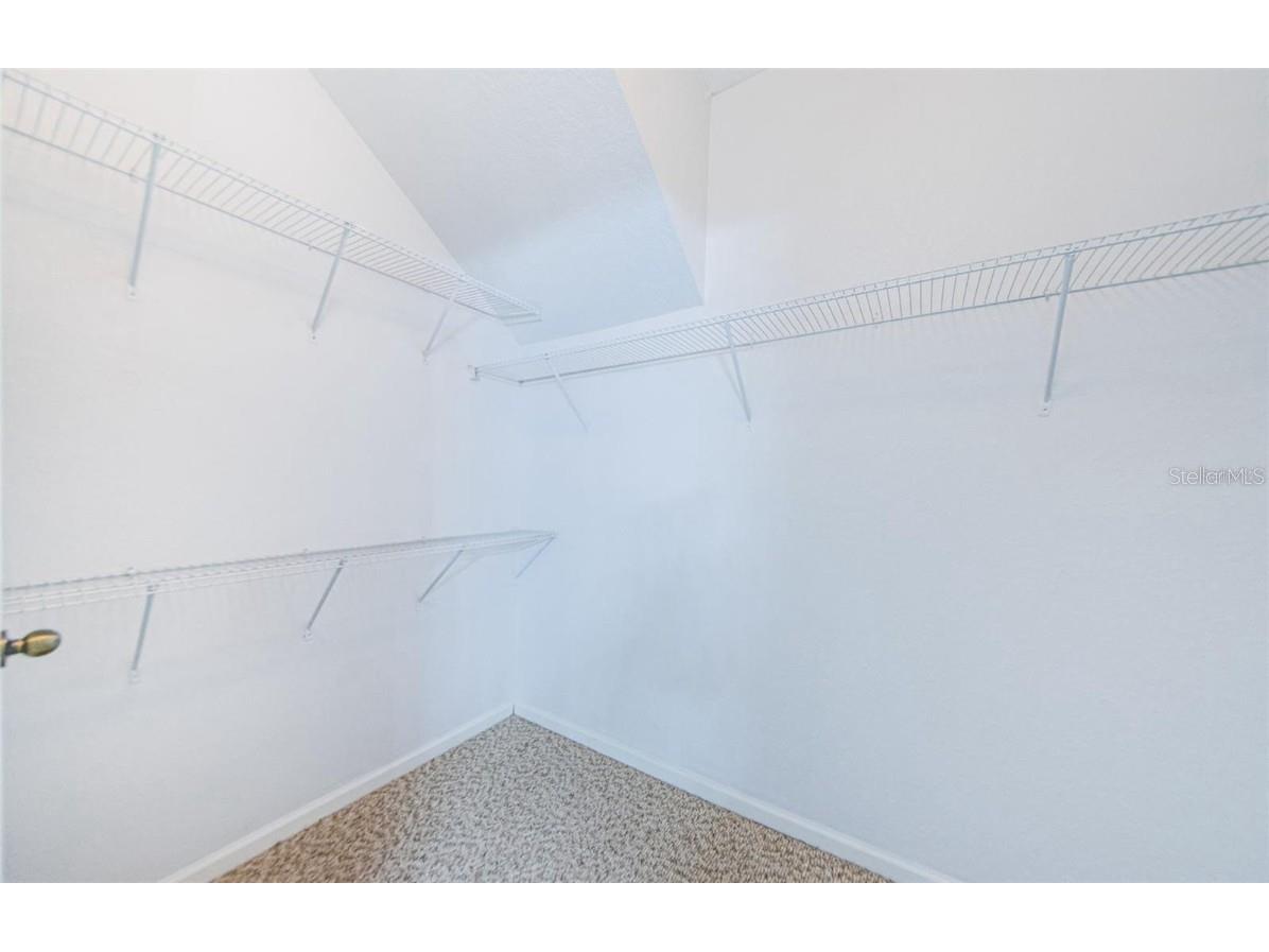 2148 Chianti Place #1310 Palm Harbor FL 34683 TB8455174 image8