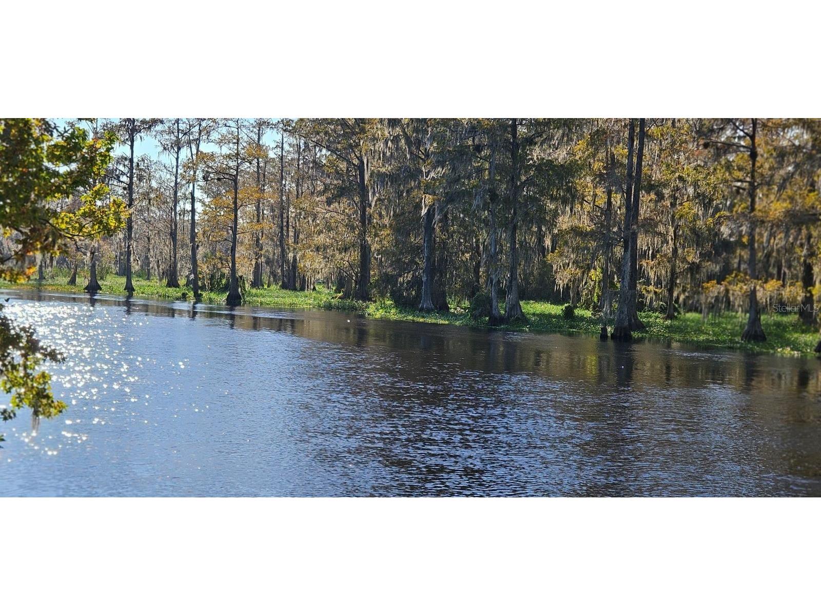 21480 NE 145th Avenue Fort Mc Coy FL 32134 - OCKLAWAHA RIVER W7869397 image1