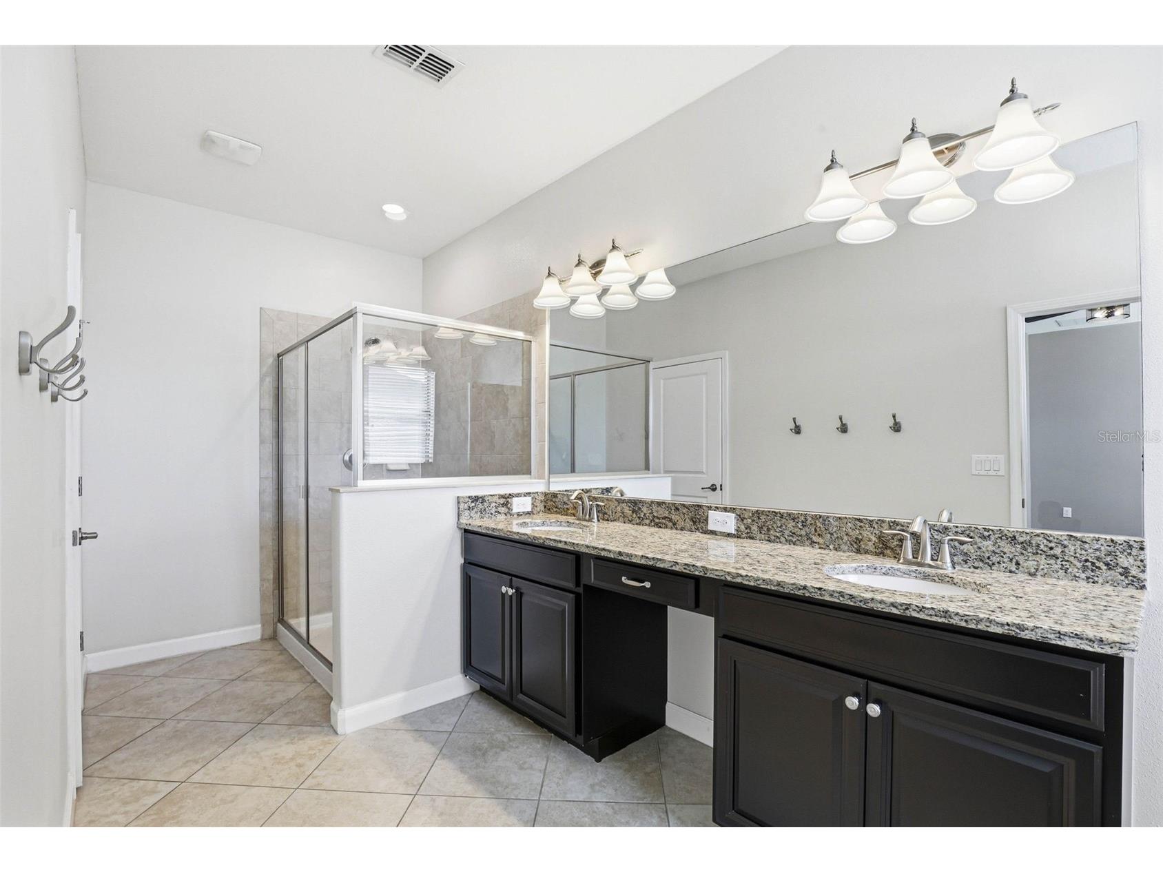 21486 Billowy Jaunt Dr Land O Lakes FL 34637 TB8485330 image28