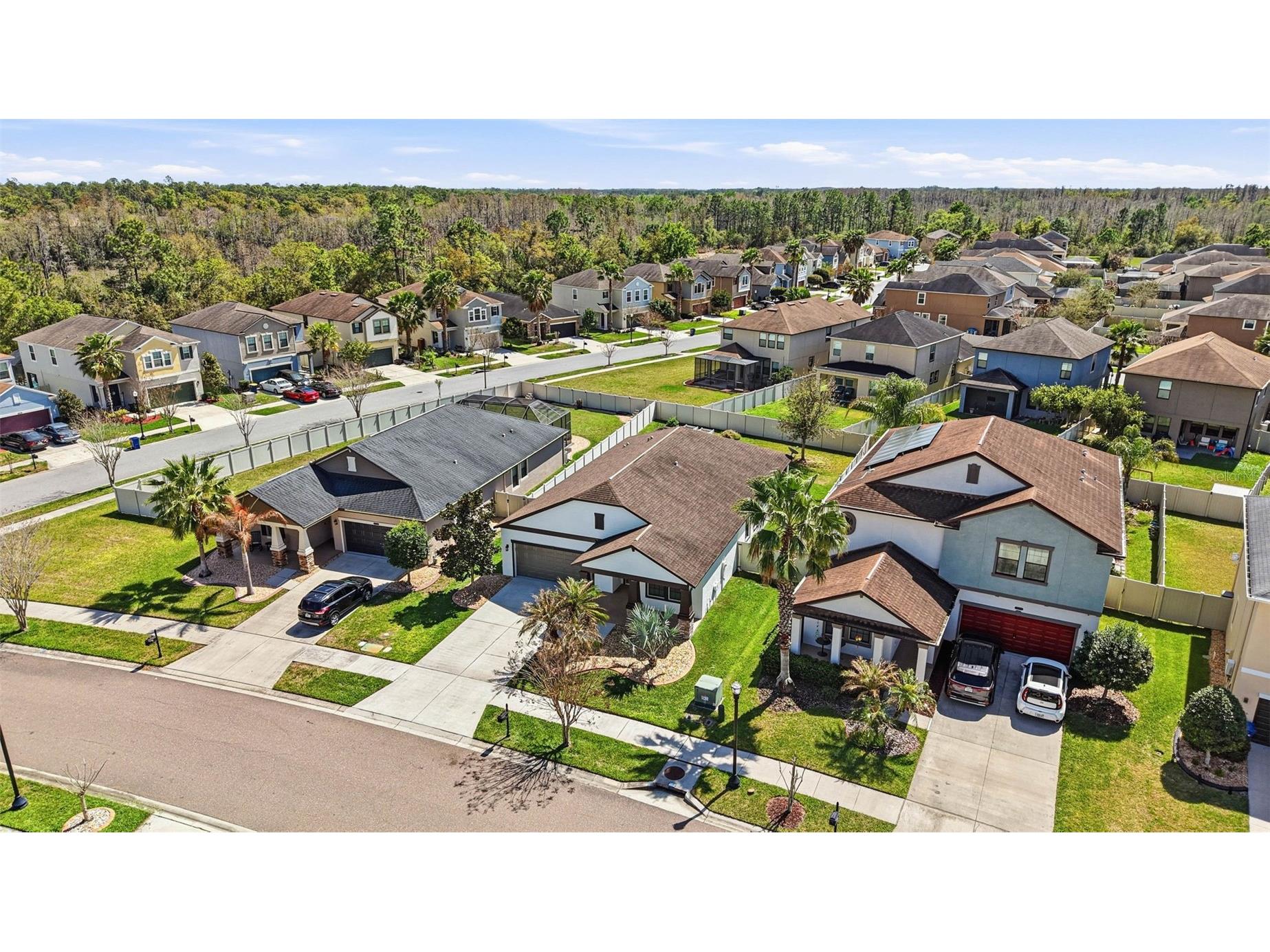 21486 Billowy Jaunt Dr Land O Lakes FL 34637 TB8485330 image58