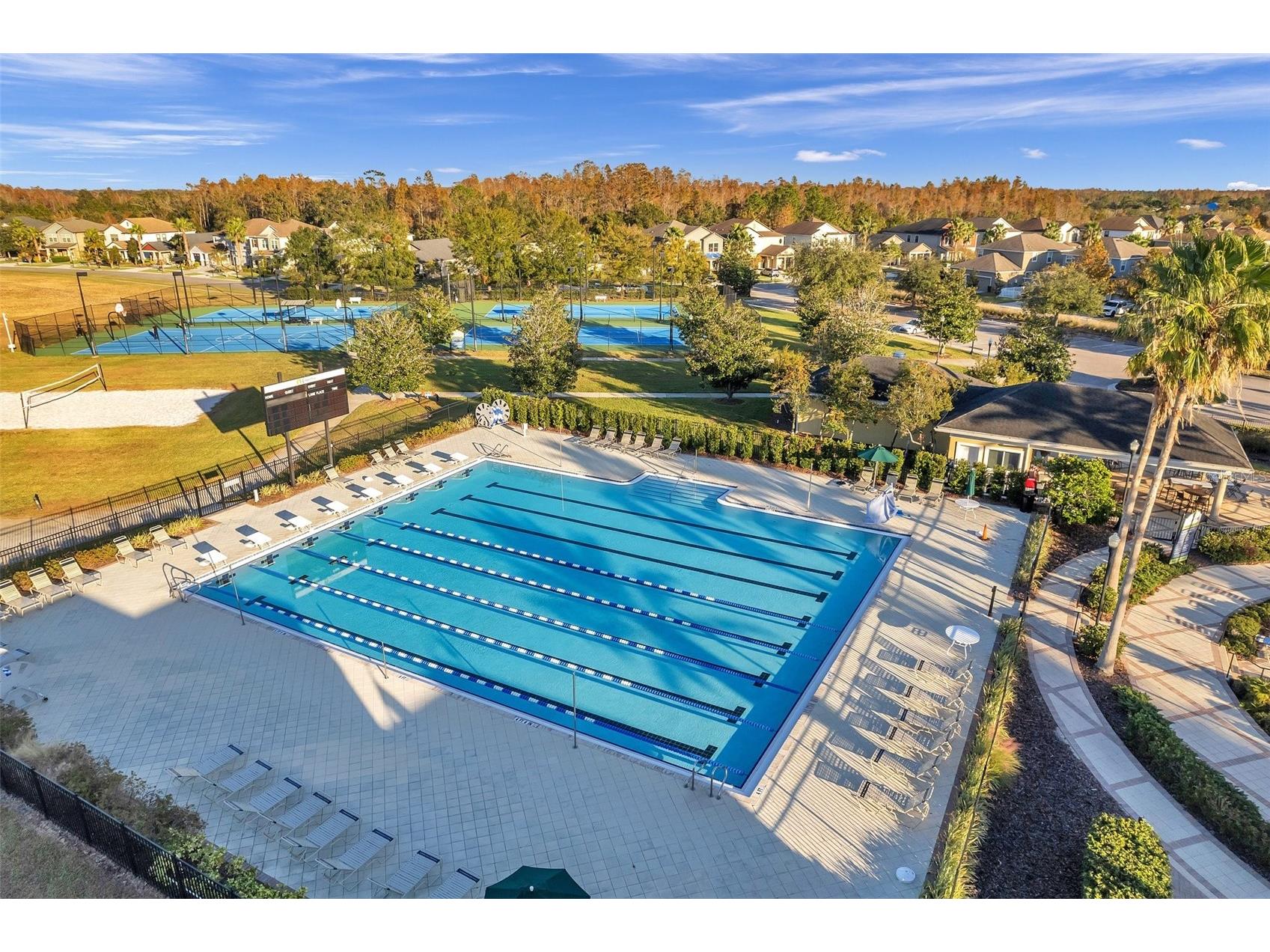 21486 Billowy Jaunt Dr Land O Lakes FL 34637 TB8485330 image71