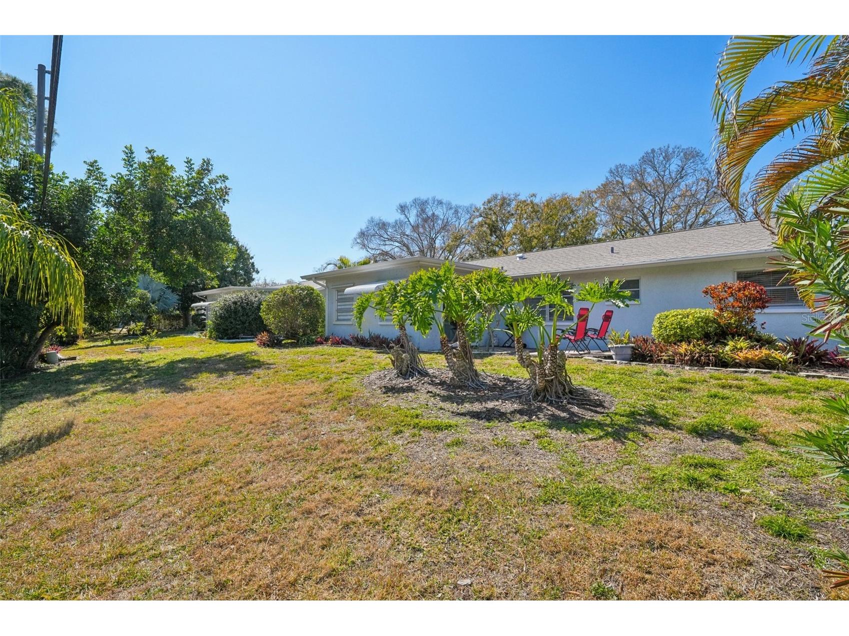 2149 Malcolm Drive Palm Harbor FL 34684 TB8475863 image22