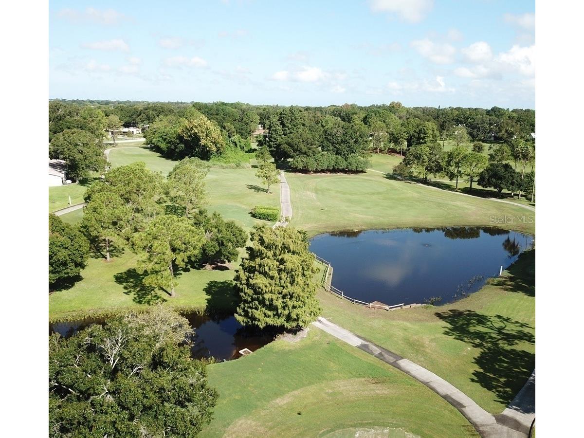 2149 Malcolm Drive Palm Harbor FL 34684 TB8475863 image31