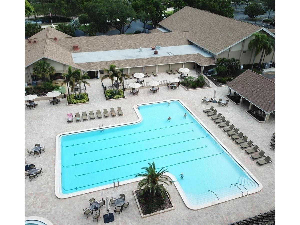 2149 Malcolm Drive Palm Harbor FL 34684 TB8475863 image34