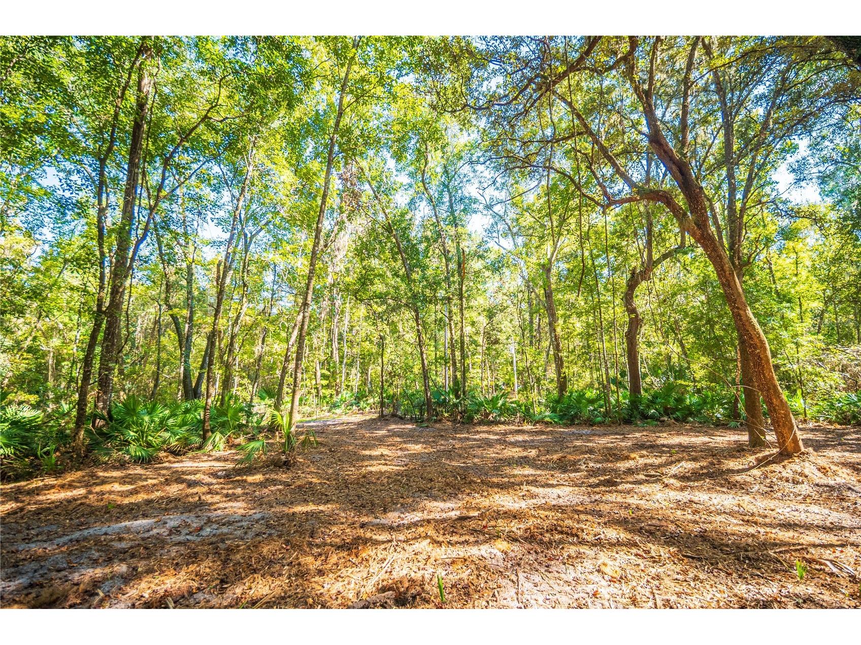 21490 NW 106th Court Road Micanopy FL 32667 A4672143 image1