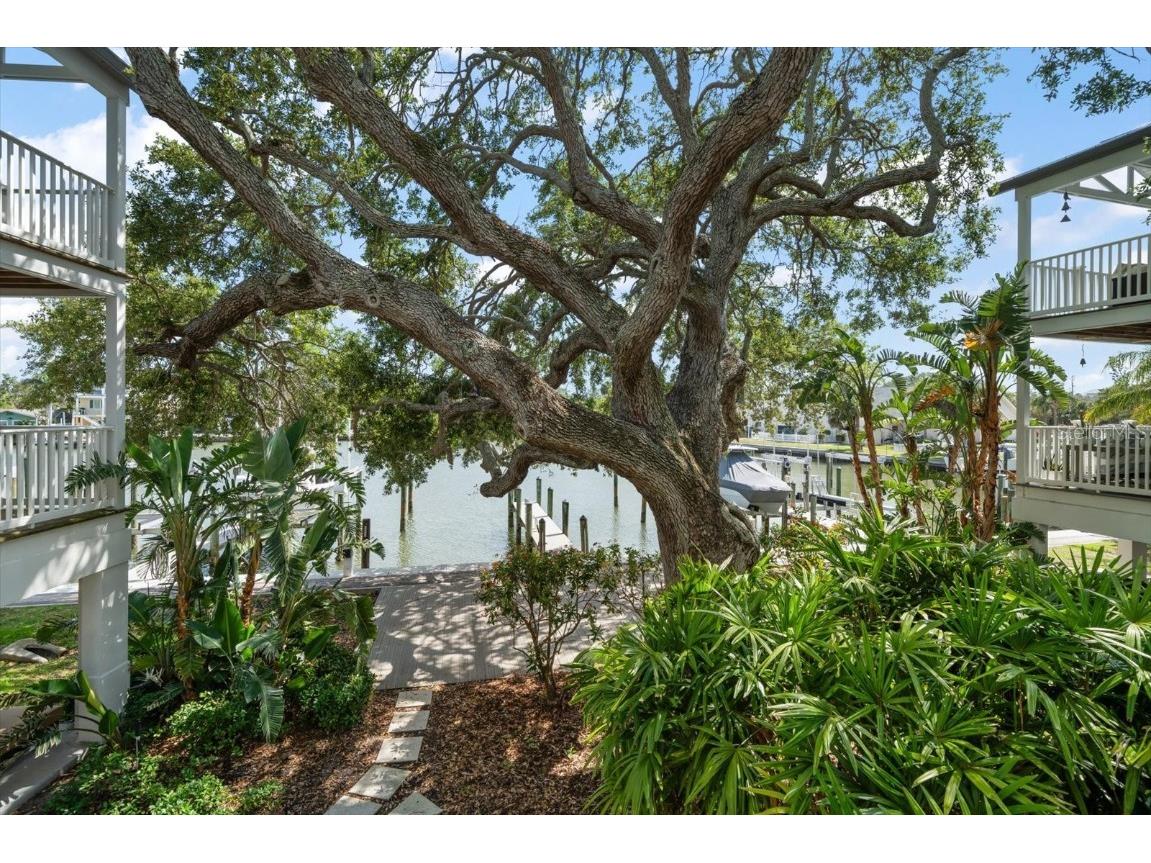 215 18th Avenue Indian Rocks Beach FL 33785 TB8389416 image40