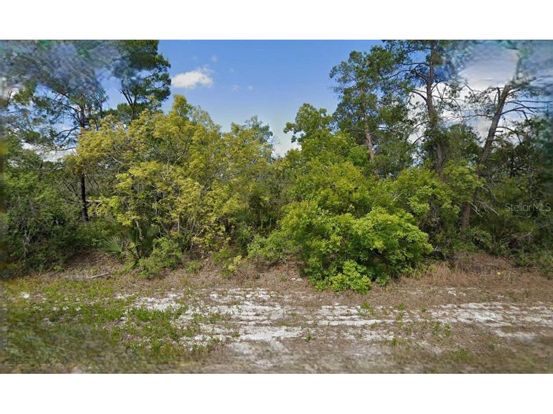 215 & 217 Treasurer Avenue NE Lake Placid FL 33852 O6293339 image1