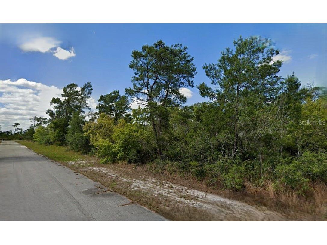 215 & 217 Treasurer Avenue NE Lake Placid FL 33852 O6293339 image2