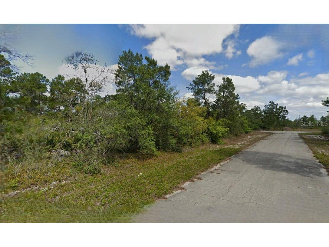 215 & 217 Treasurer Avenue NE Lake Placid FL 33852 O6293339 image3