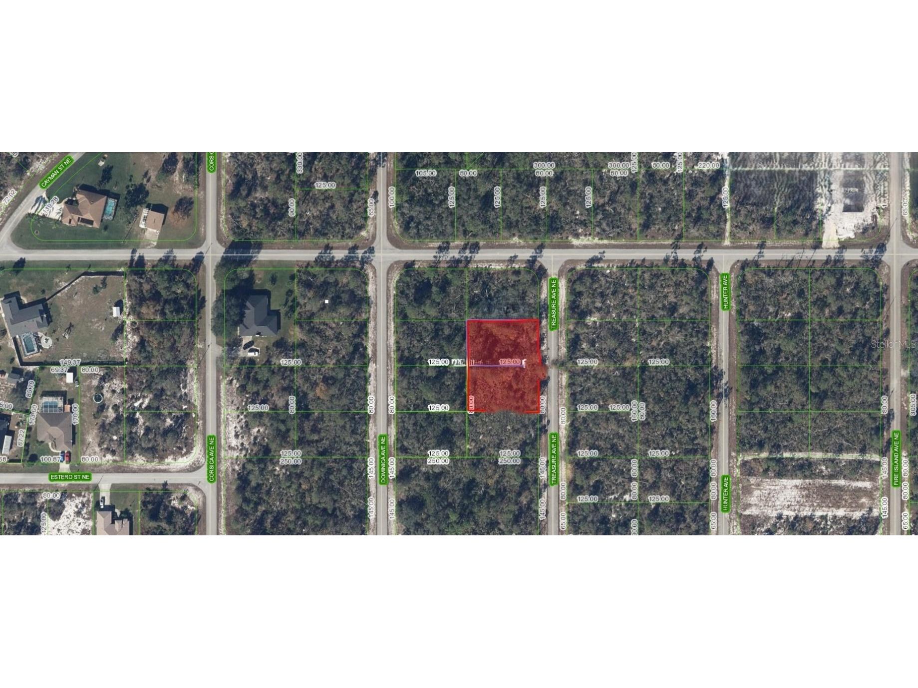 215 & 217 Treasurer Avenue NE Lake Placid FL 33852 O6293339 image4