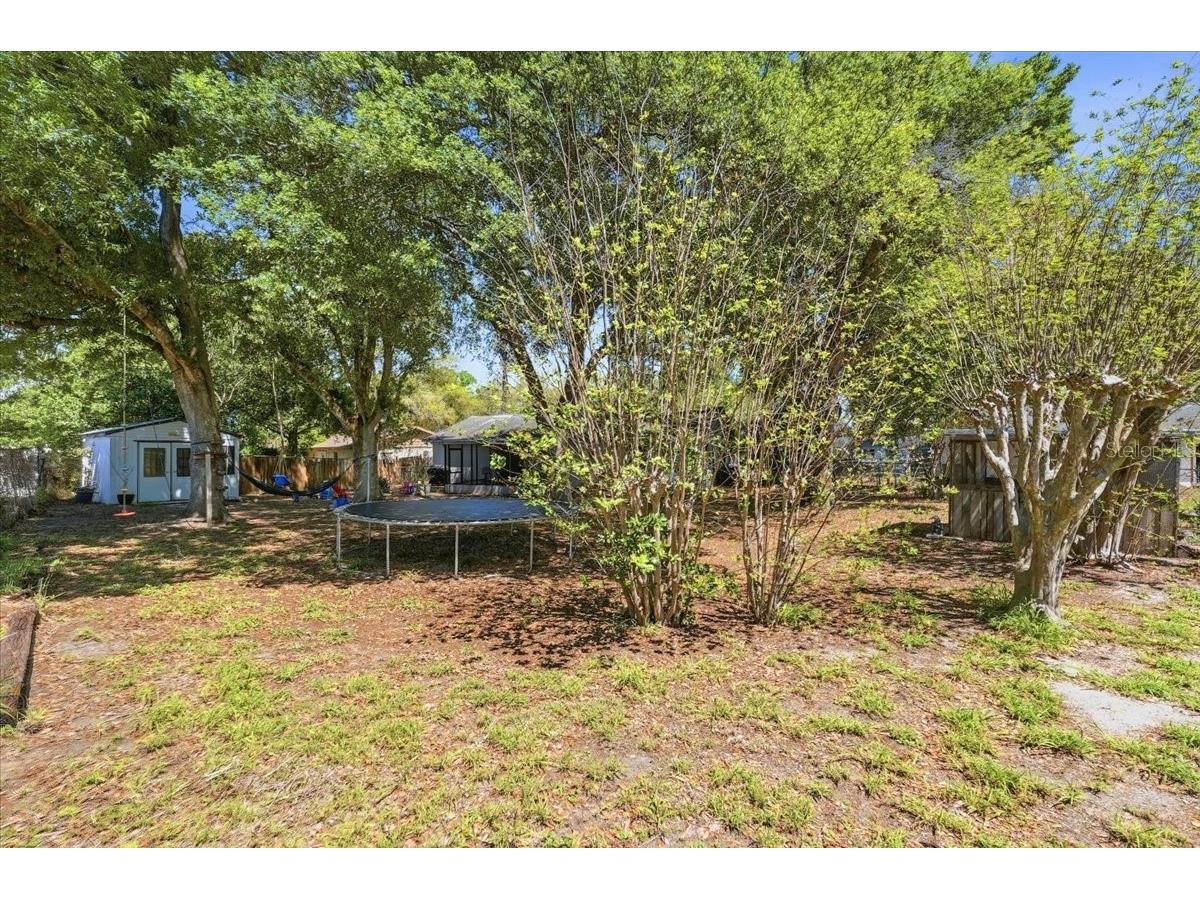 215 Carla Ann Court Auburndale FL 33823 L4960368 image24