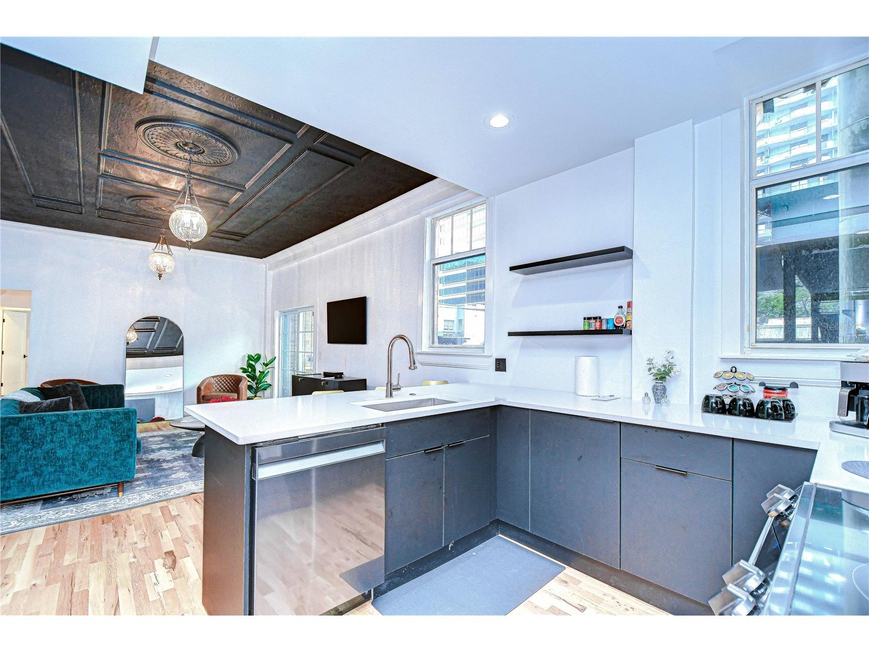 215 Central Avenue #2B Saint Petersburg FL 33701 TB8498463 image10