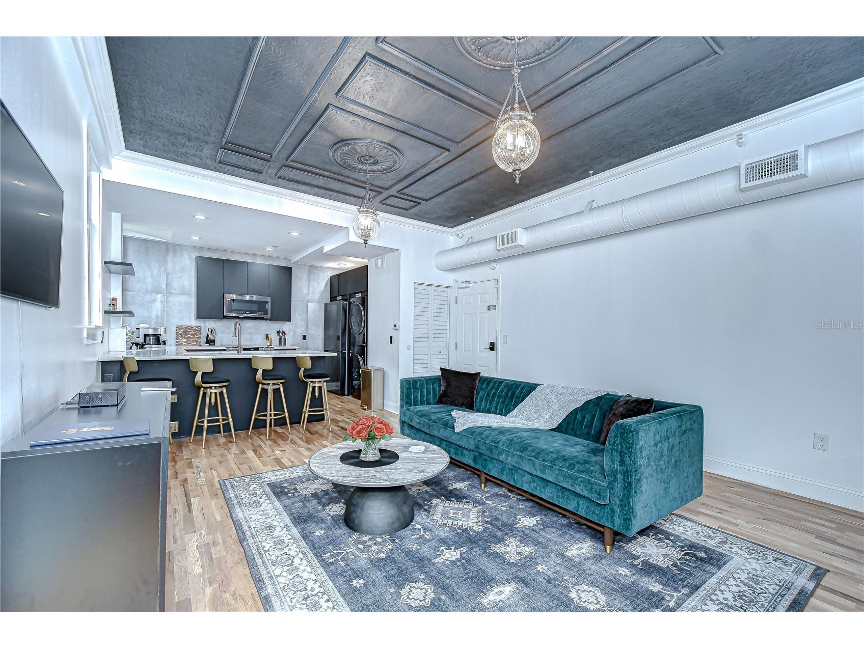 215 Central Avenue #2B Saint Petersburg FL 33701 TB8498463 image16