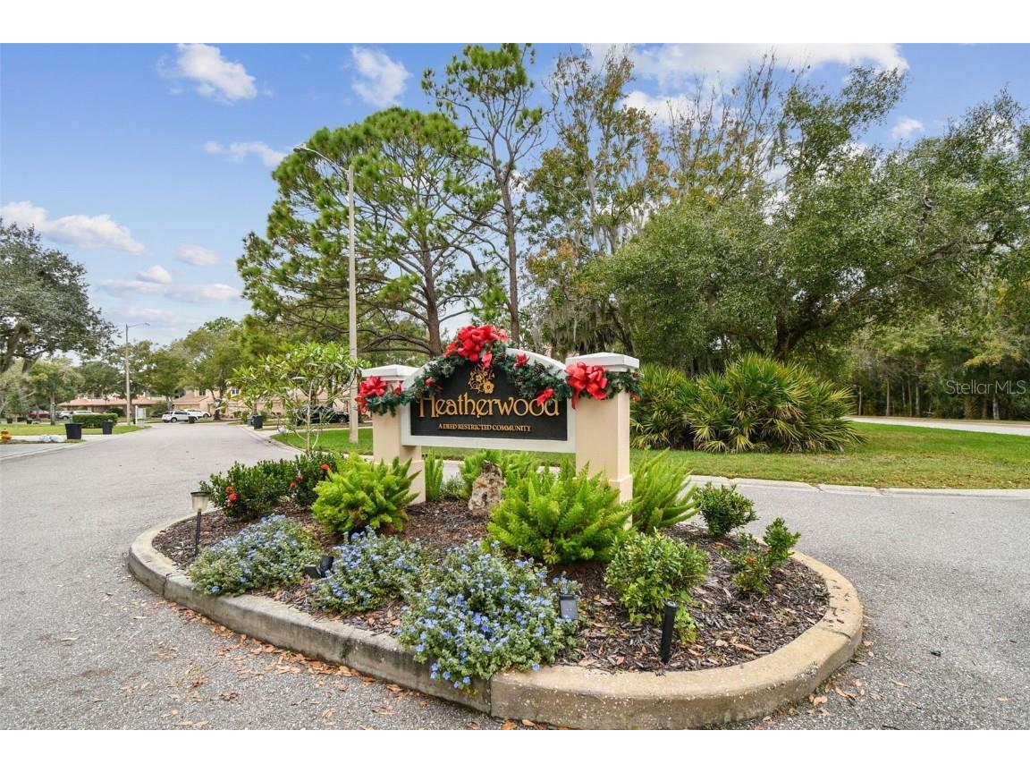 215 Clays Trail #215 Oldsmar FL 34677 TB8452814 image4