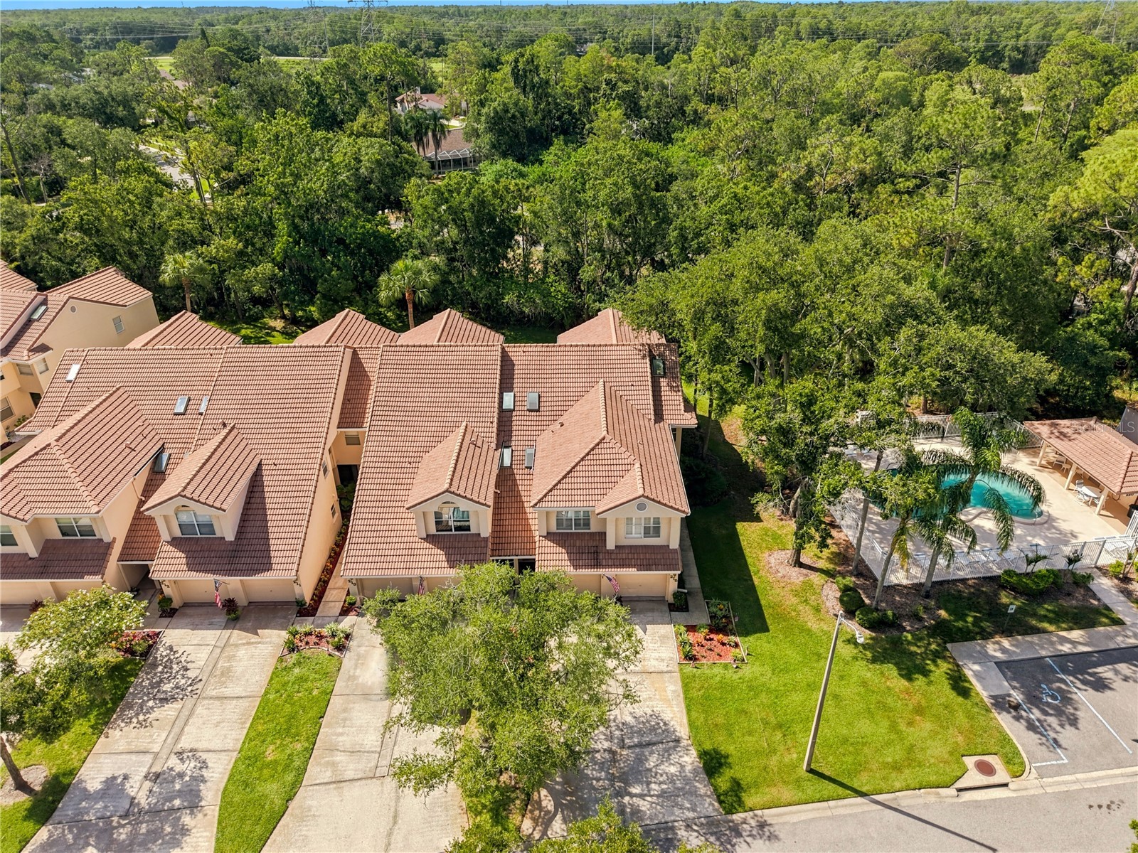 215 Clays Trail Oldsmar FL 34677 TB8525574 image2