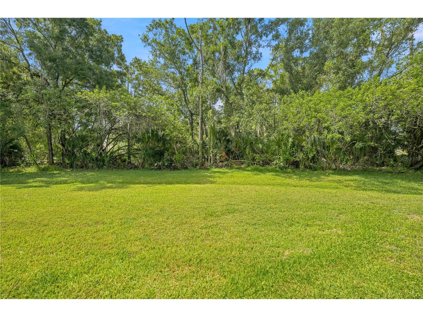 215 Clays Trail Oldsmar FL 34677 TB8525574 image23