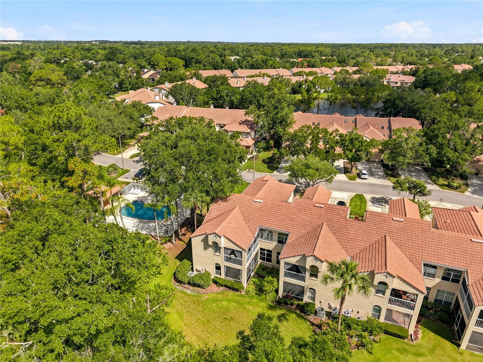 215 Clays Trail Oldsmar FL 34677 TB8525574 image24
