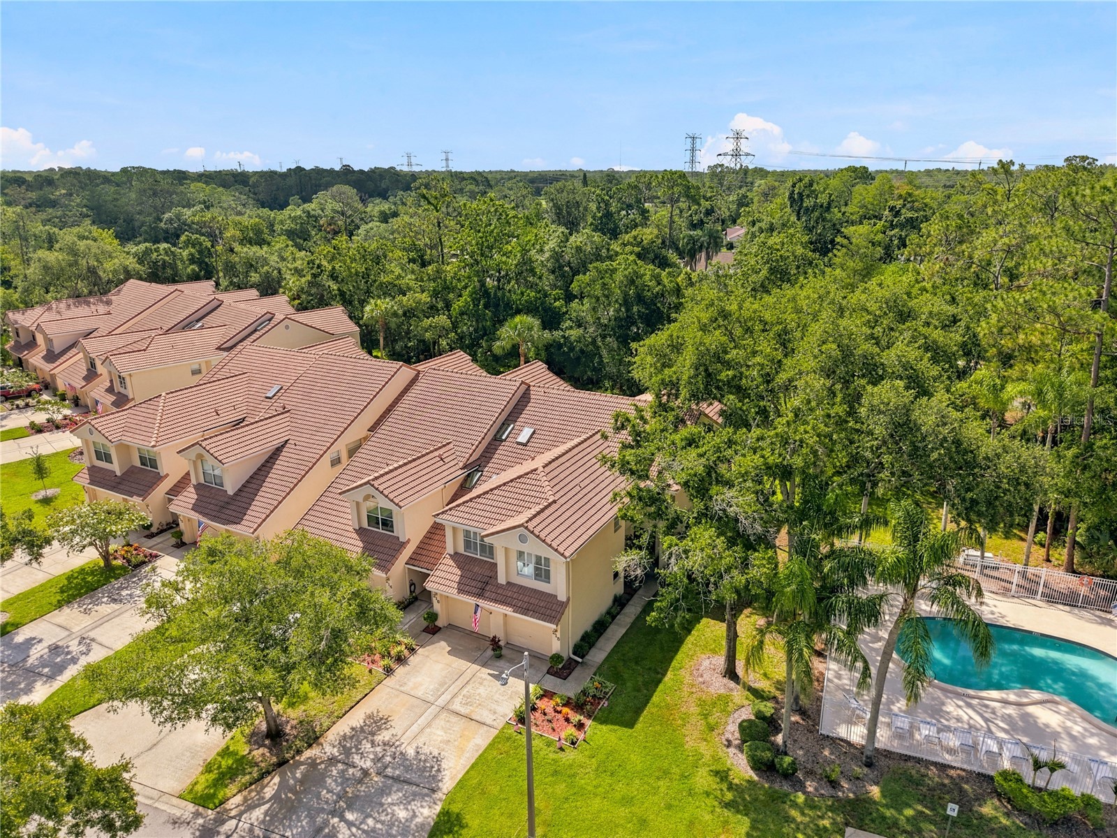 215 Clays Trail Oldsmar FL 34677 TB8525574 image25
