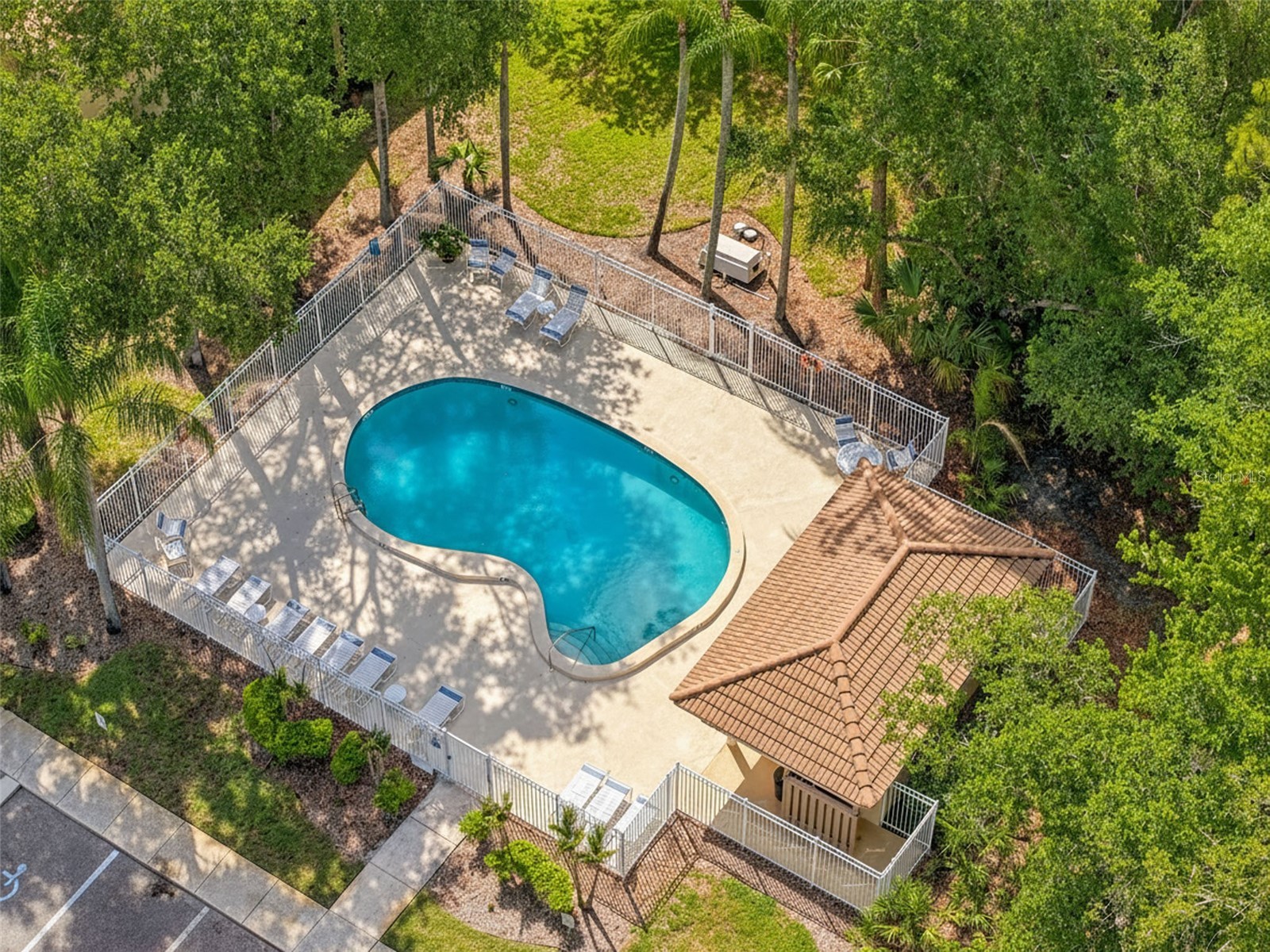 215 Clays Trail Oldsmar FL 34677 TB8525574 image26