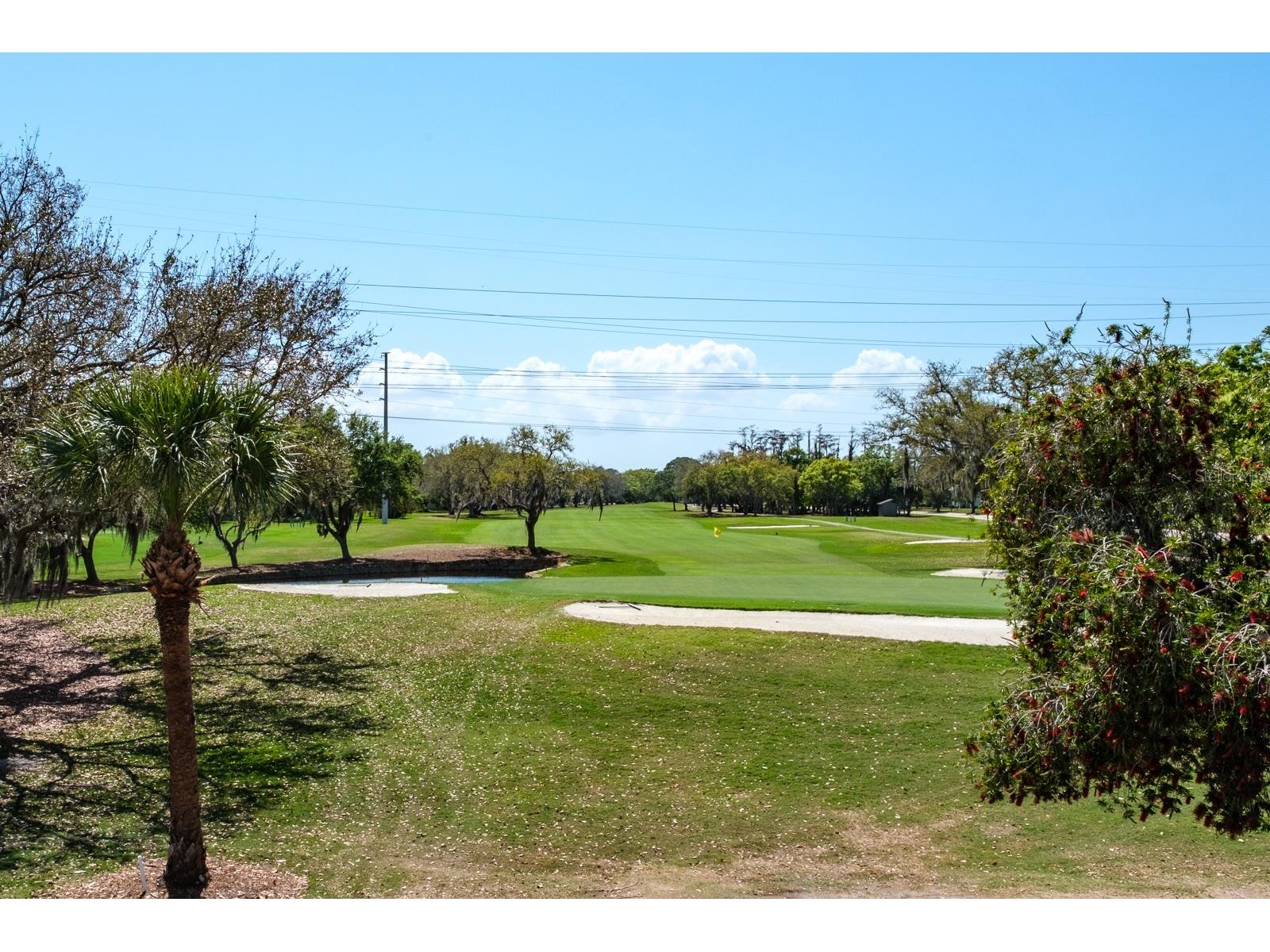 215 Clays Trail Oldsmar FL 34677 TB8525574 image33