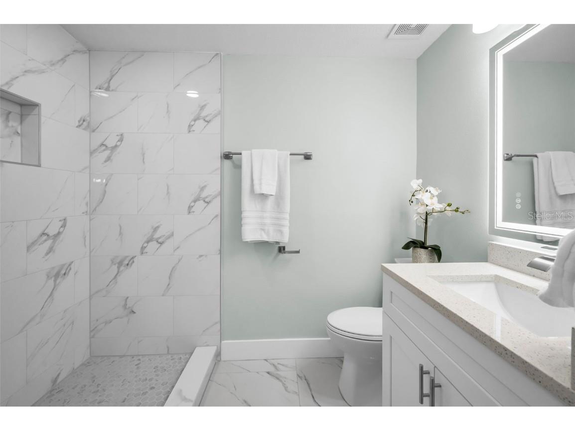 215 Corkwood Lane Oldsmar FL 34677 TB8441702 image25