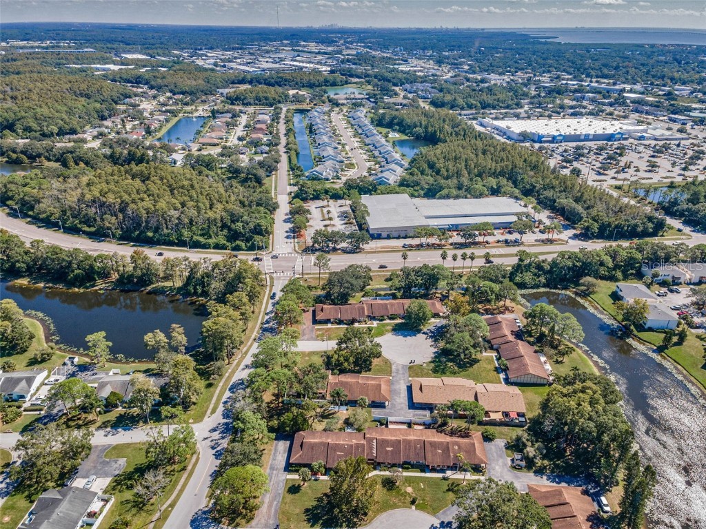 215 Corkwood Lane Oldsmar FL 34677 TB8441702 image3