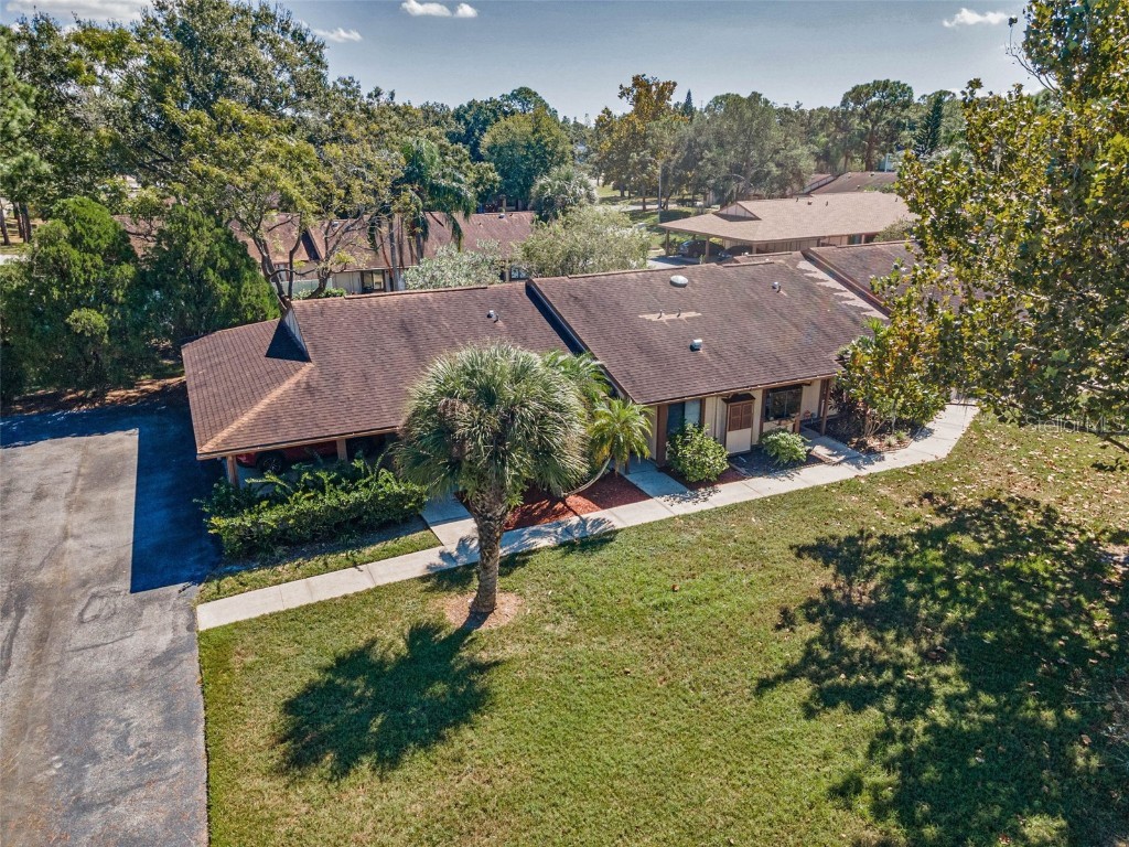 215 Corkwood Lane Oldsmar FL 34677 TB8441702 image30