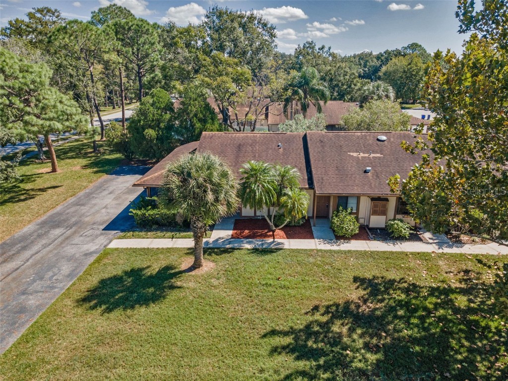 215 Corkwood Lane Oldsmar FL 34677 TB8441702 image33