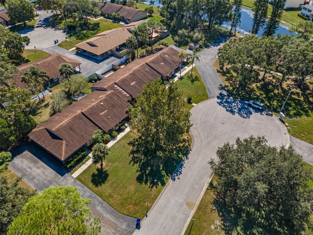 215 Corkwood Lane Oldsmar FL 34677 TB8441702 image35