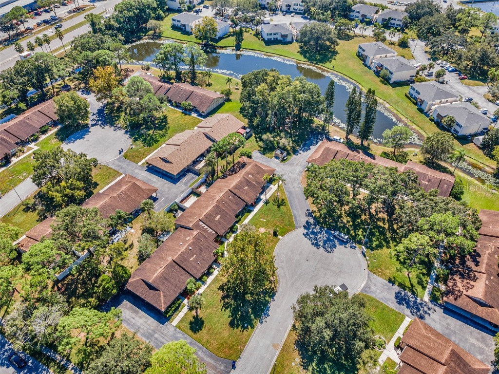 215 Corkwood Lane Oldsmar FL 34677 TB8441702 image37