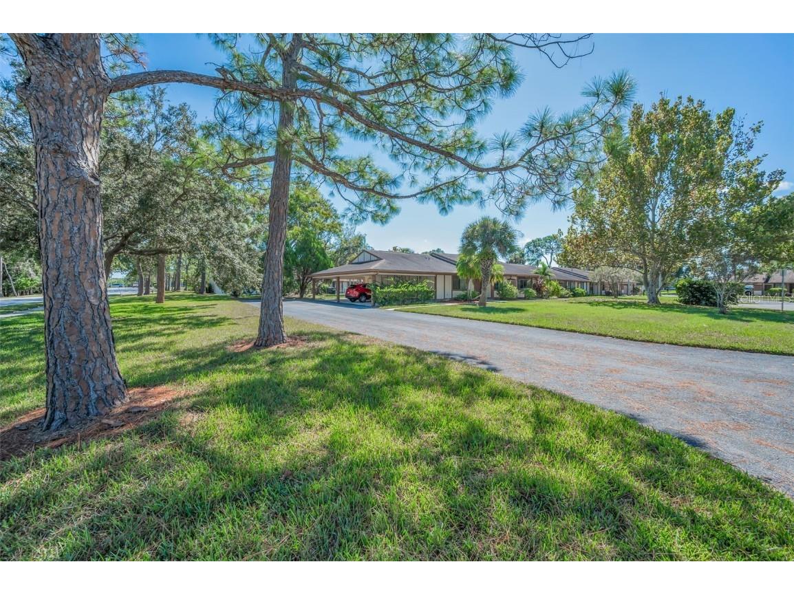 215 Corkwood Lane Oldsmar FL 34677 TB8441702 image38