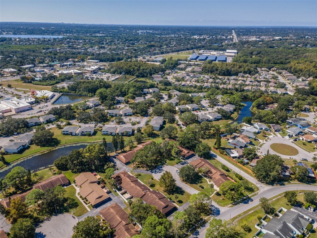 215 Corkwood Lane Oldsmar FL 34677 TB8441702 image41