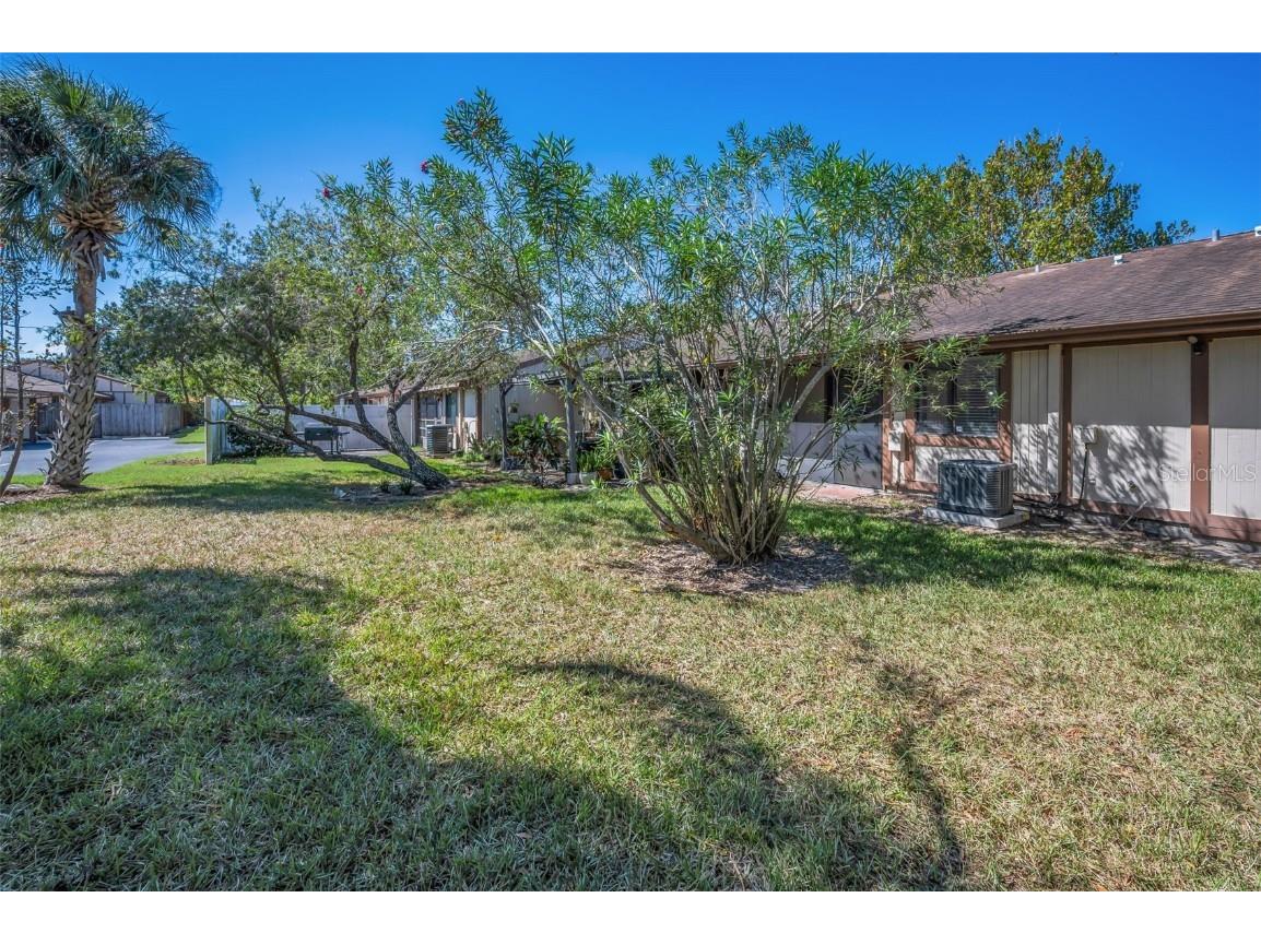 215 Corkwood Lane Oldsmar FL 34677 TB8441702 image42