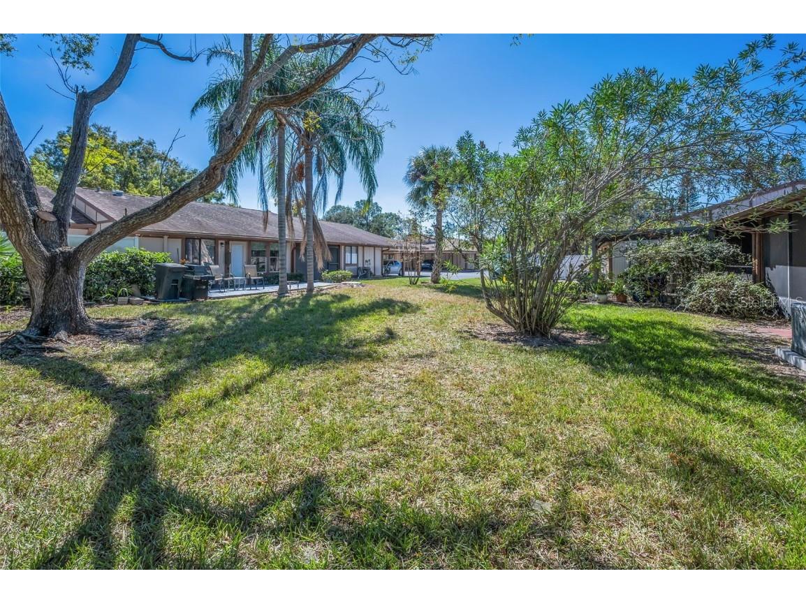 215 Corkwood Lane Oldsmar FL 34677 TB8441702 image44