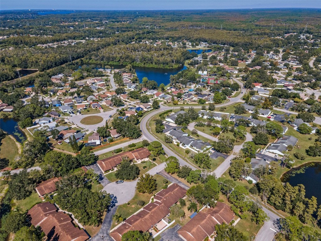 215 Corkwood Lane Oldsmar FL 34677 TB8441702 image45