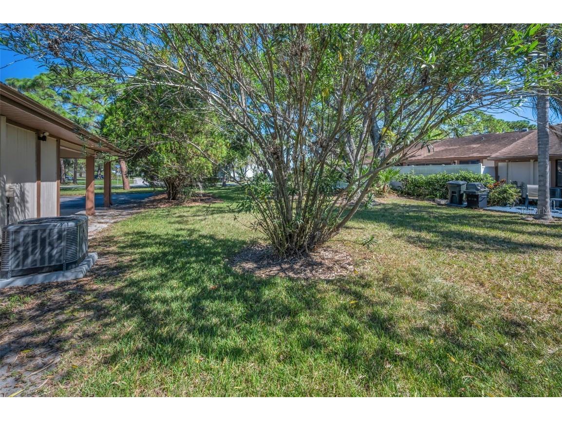 215 Corkwood Lane Oldsmar FL 34677 TB8441702 image47